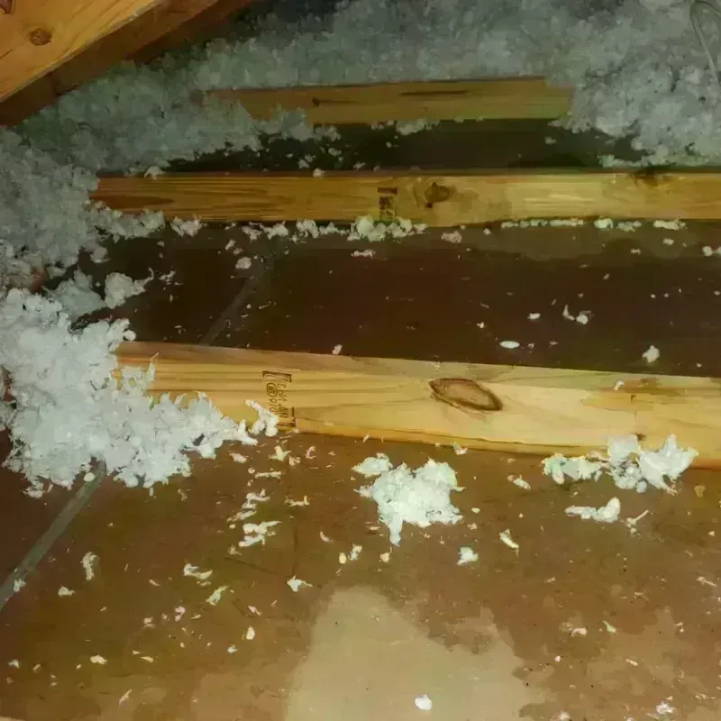 Attic Water Damage in Middletown, RI